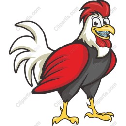 Cool Chicken