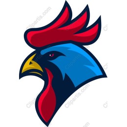 Vibrant Rooster Head