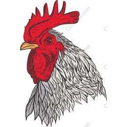 Majestic Rooster