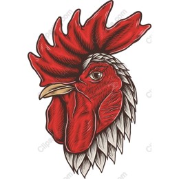 Vibrant Rooster