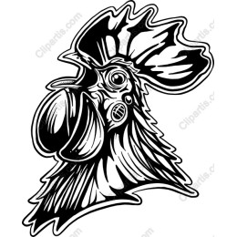 Rooster Head