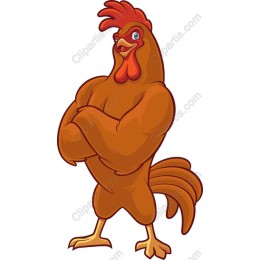 Muscular Rooster
