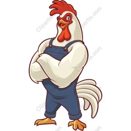 Playful Muscular Rooster