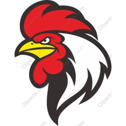 Vibrant Rooster