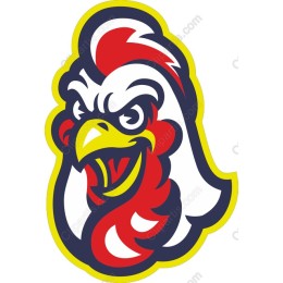 Fierce Rooster Head