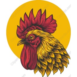 Vibrant Rooster