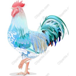 Vibrant Rooster
