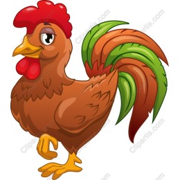 Charming Rooster