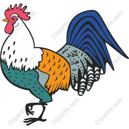 Vibrant Rooster