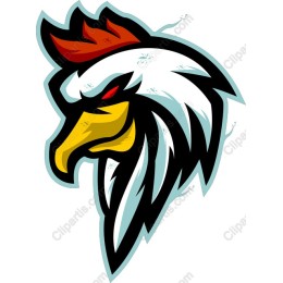Fierce Rooster Head