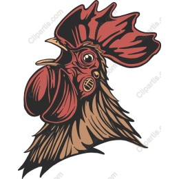 Rooster