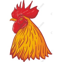 Vibrant Rooster