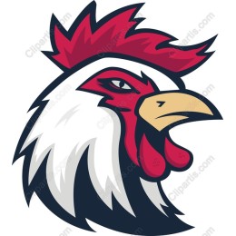 Fierce Rooster