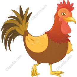 Charming Rooster