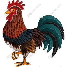 Colorful Rooster