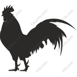 Majestic Rooster