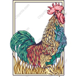 Colorful Rooster