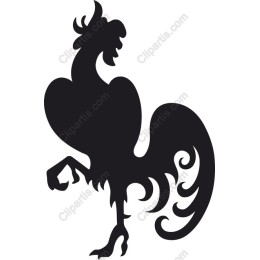 Rooster