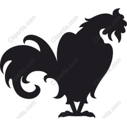 Rooster