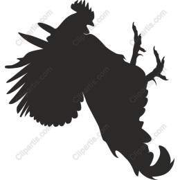 Majestic Rooster