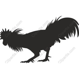 Stylized Rooster
