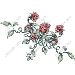 Floral Harmony - Elegant Rose