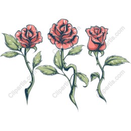 Elegant Hand-Drawn Rose Collection
