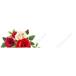 Elegant Rose Bouquet