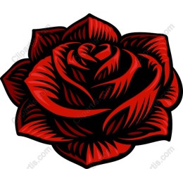 Red Rose