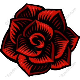 Elegant Red Rose