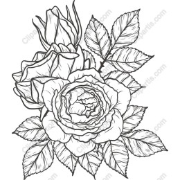 Elegant Rose Bouquet