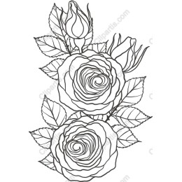 Elegant Rose Bouquet