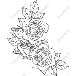 Elegant Rose Flourish