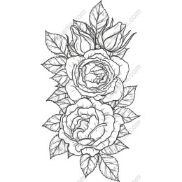 Intricate Rose Floral