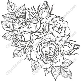 Intricate Rose - Floral Line Drawing