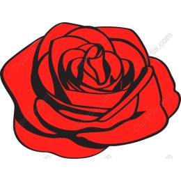 Red Rose