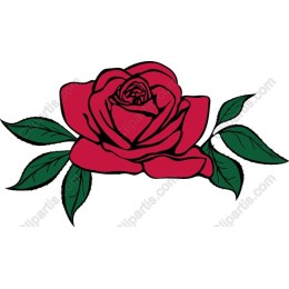 Elegant Red Rose