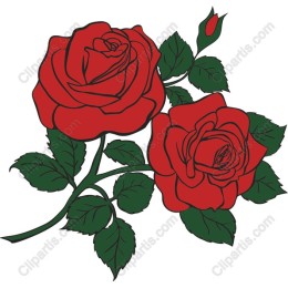 Red Roses