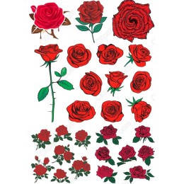 Elegant Red Rose Collection