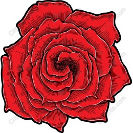 Red Rose - Hand-Drawn Elegance
