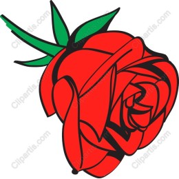 Elegant Red Rose