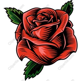 Elegant Red Rose