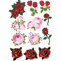 Rose Set - Floral s