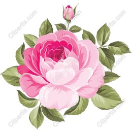 Blushing Rose Bouquet