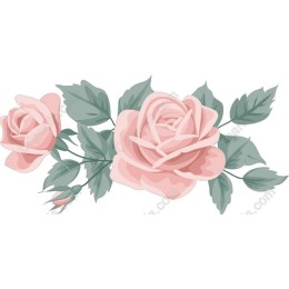 Delicate Pink Roses