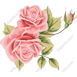 Elegant Pink Roses