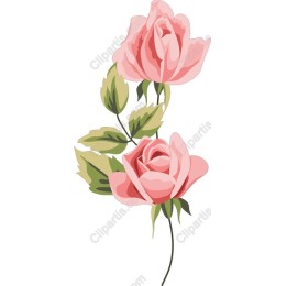 Elegant Pink Roses