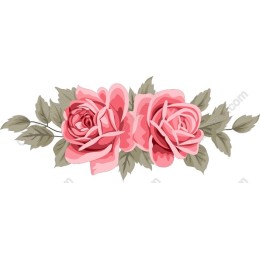 Elegant Pink Rose