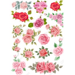 Rose Bundle - Premium Floral