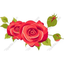 Romantic Rose Bouquet